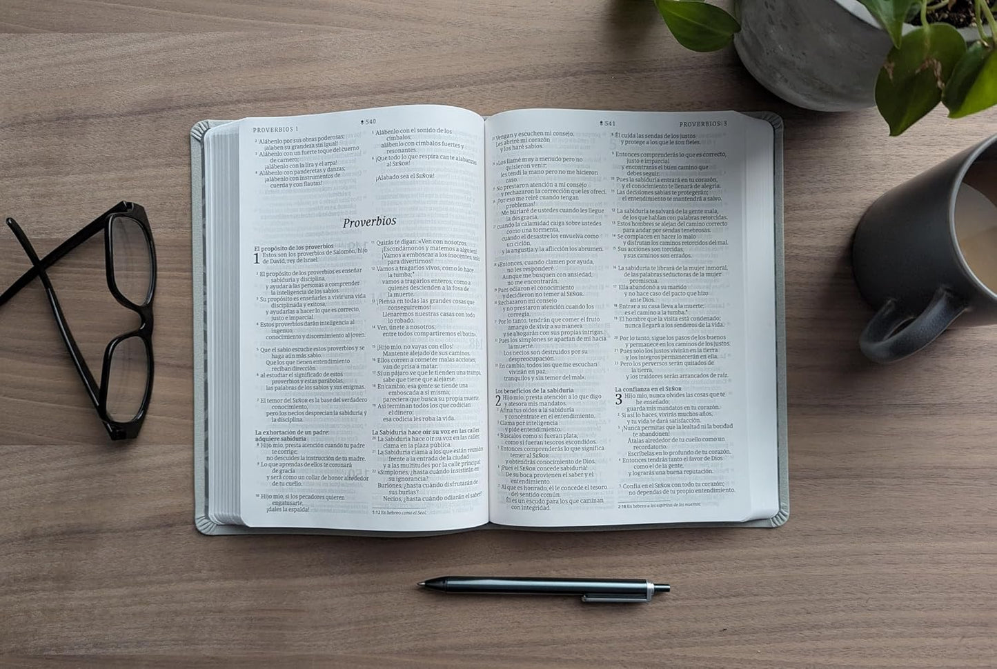 Biblia NTV valor premium gris Senti piel Letra 10.25 puntos