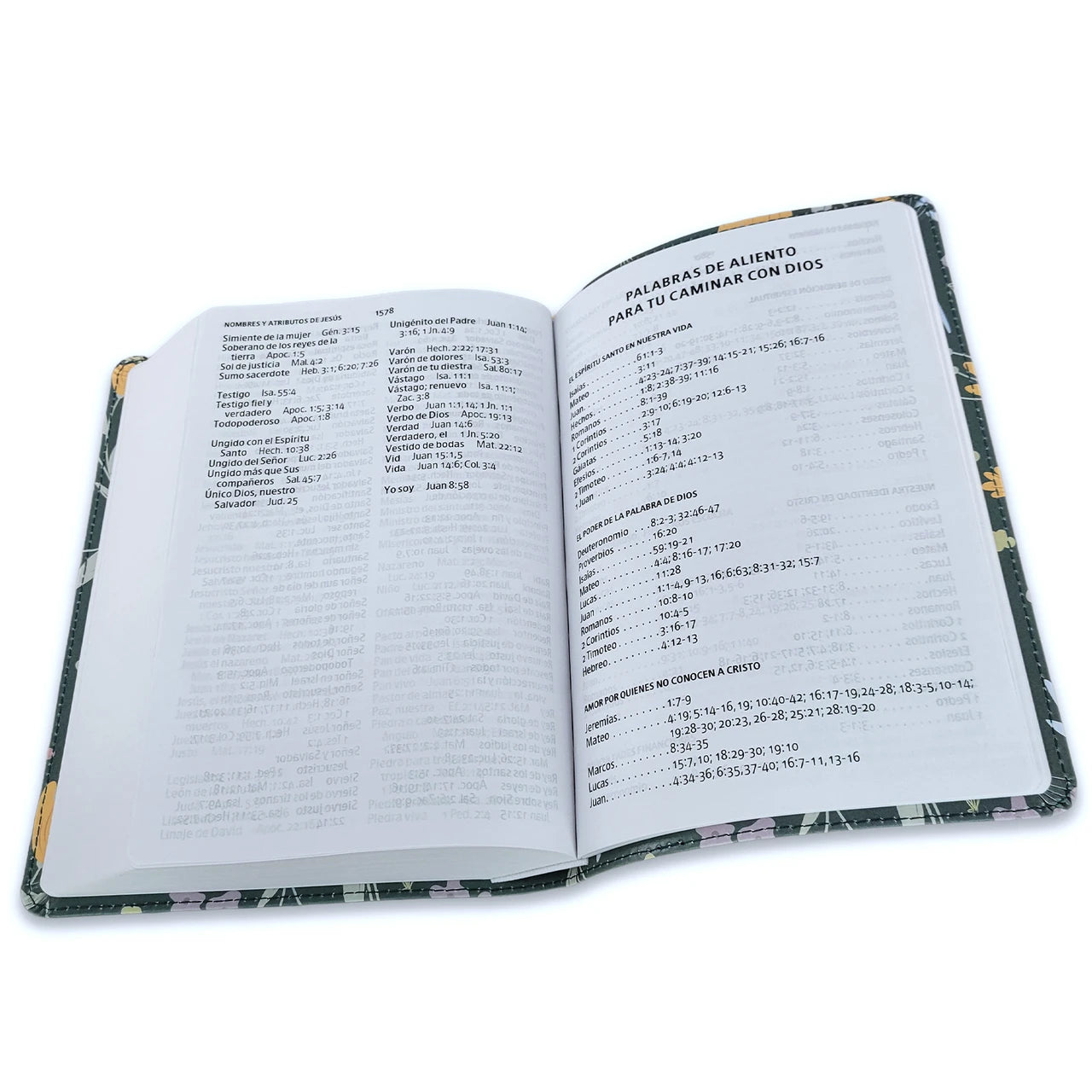 Biblia RV1960 Edición Especial verde 12 puntos