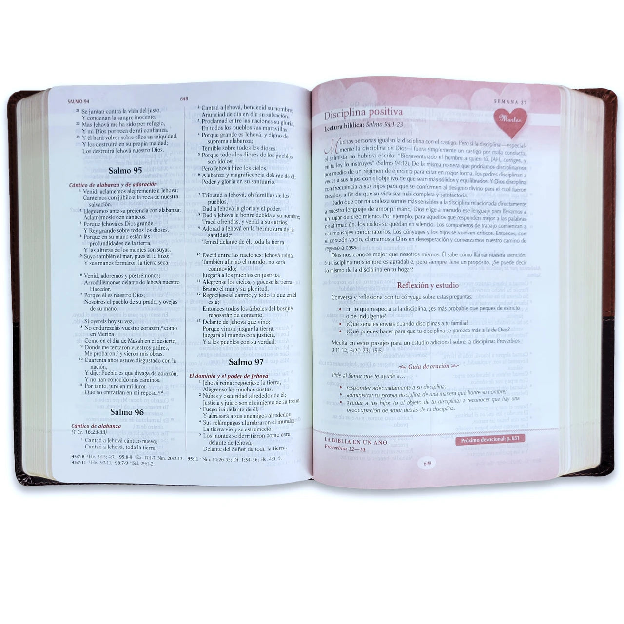 Biblia RV1960 Devocional lenguajes del amor duotono marrón Imitación piel 7 puntos