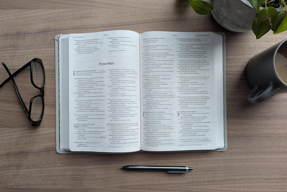 Biblia NTV valor premium gris Senti piel Letra 10.25 puntos