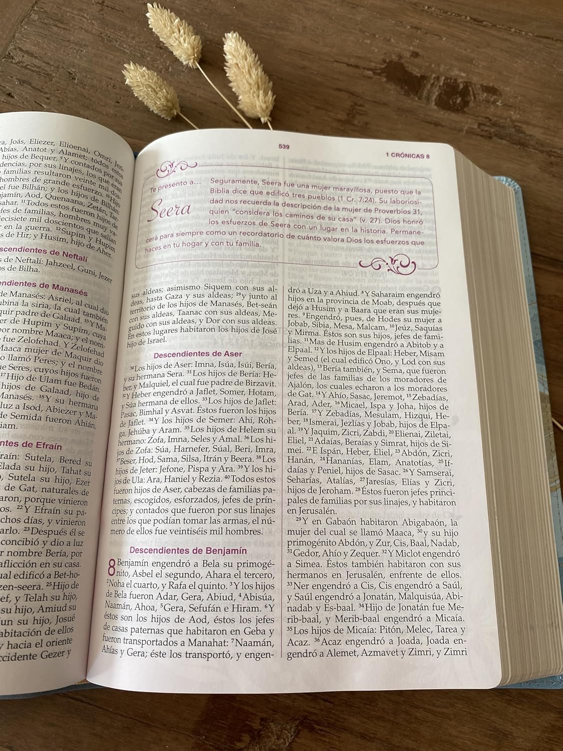 Biblia RVR1960 Mujer conforme al corazón de Dios Imitación piel