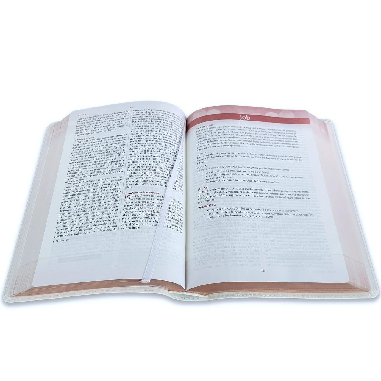 Biblia RVR1960 Devocional lenguajes del amor oro rosa Imitación piel 7 puntos