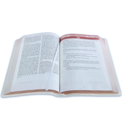 Biblia RVR1960 Devocional lenguajes del amor oro rosa Imitación piel 7 puntos
