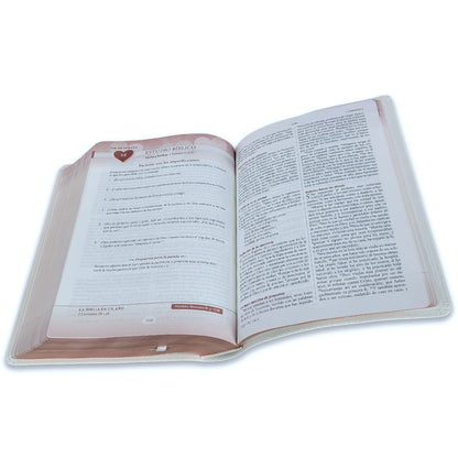 Biblia RVR1960 Devocional lenguajes del amor oro rosa Imitación piel 7 puntos