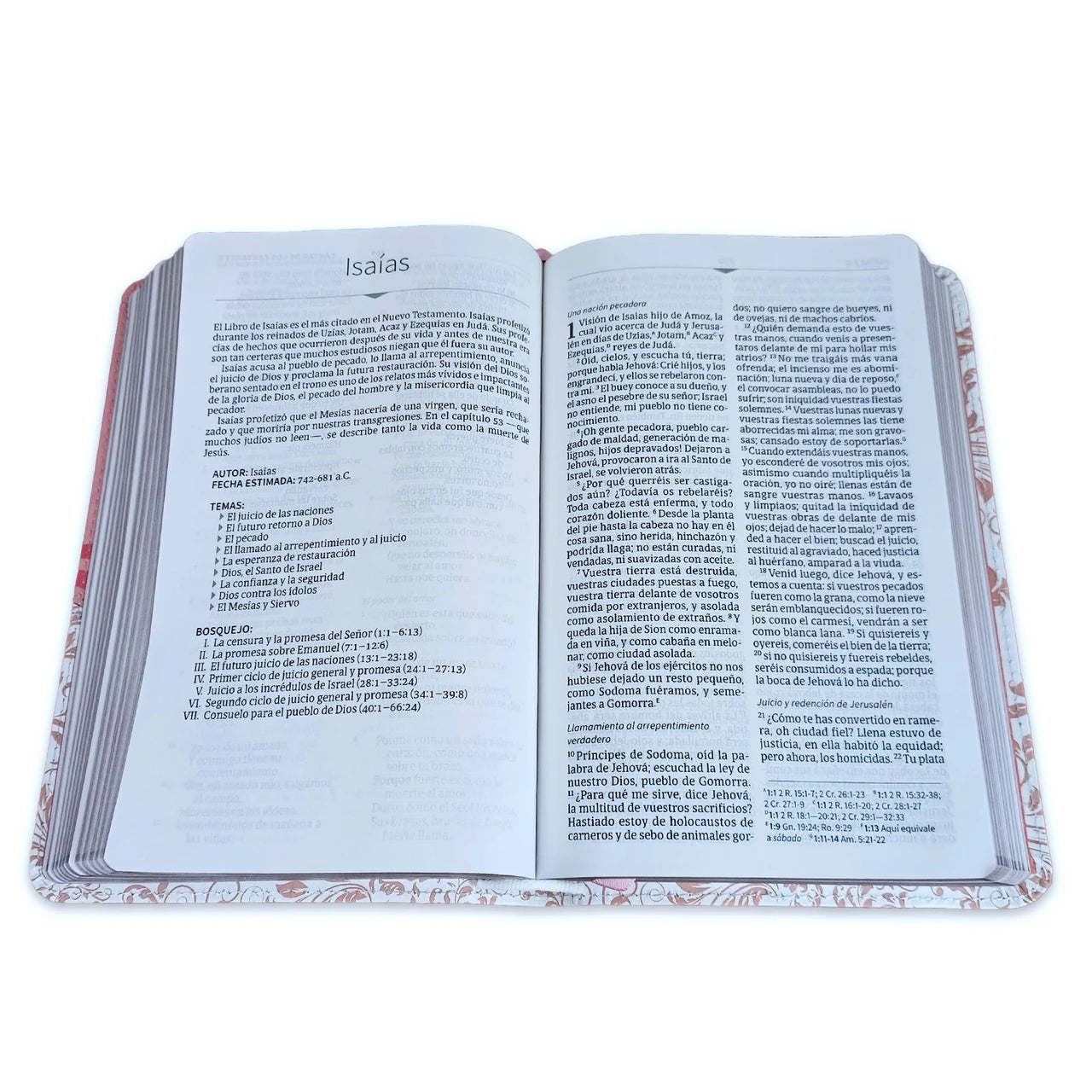 Biblia RV1960 Mis quince rosa blanco Simil Piel 9 puntos