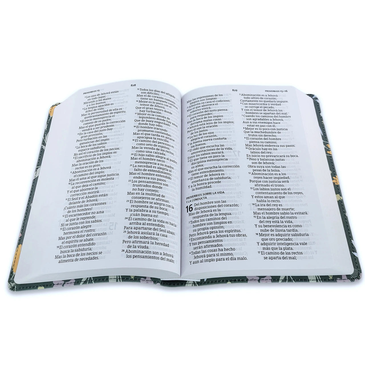 Biblia RV1960 Edición Especial verde 12 puntos