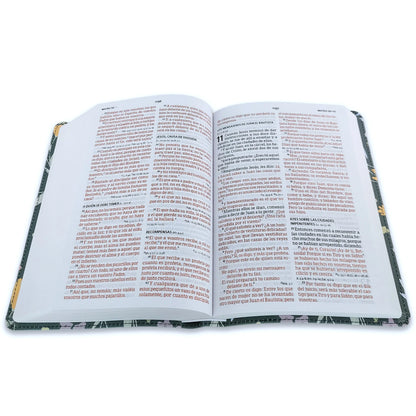 Biblia RV1960 Edición Especial verde 12 puntos