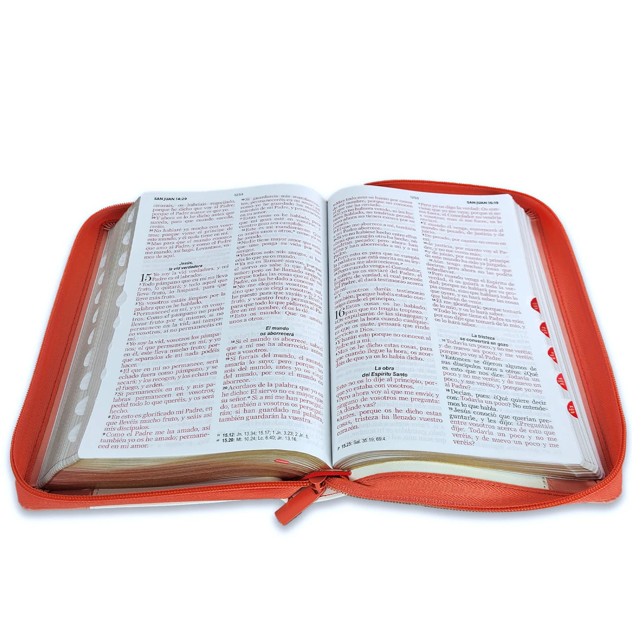 Biblia RV1960 Con Cierre Blanco coral 12 puntos