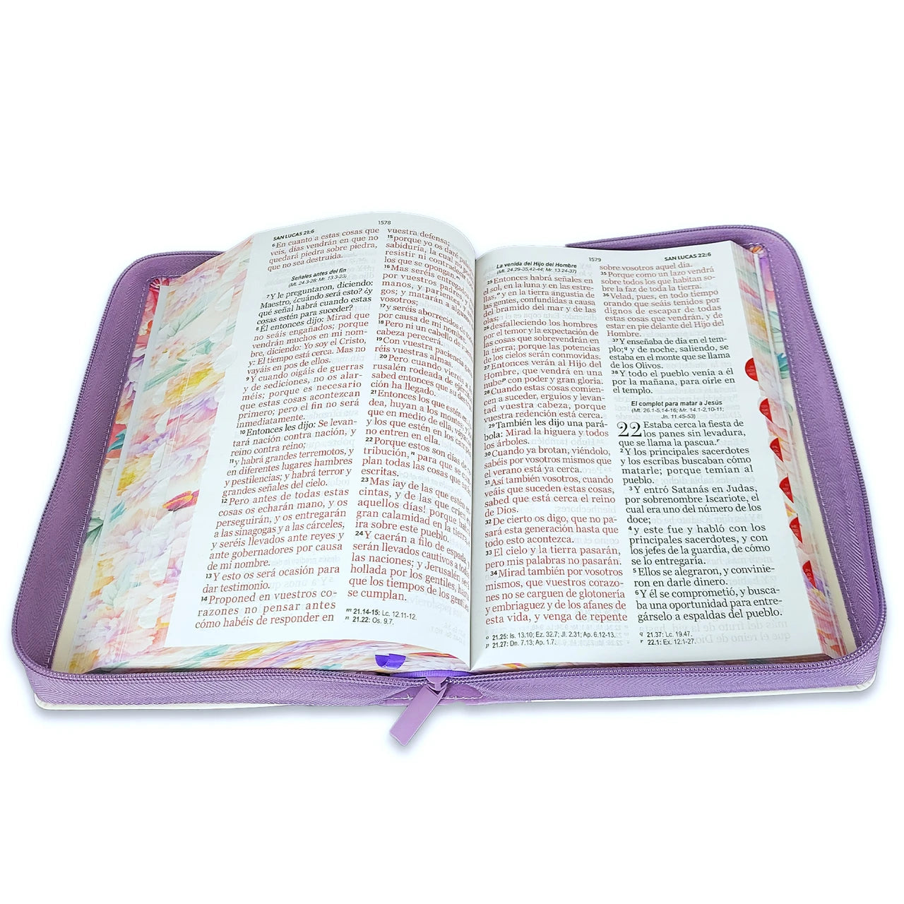 Biblia RVR1960 lila Imitación piel con índice & cierre 14 puntos