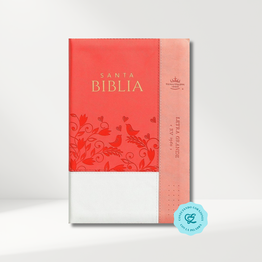 Biblia RV1960 Con Cierre Blanco coral 12 puntos