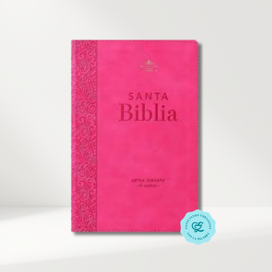 Biblia RV1960 Imitación piel Fucsia 14 puntos