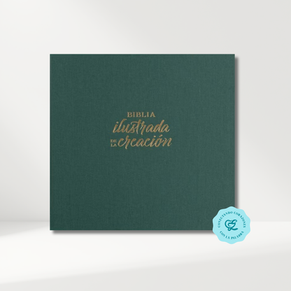 Biblia RVR1960 ilustrada de la creación, turquesa, tela 10 puntos